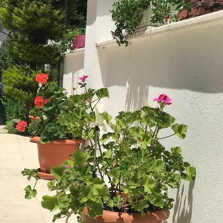 Hotel Rota 3*