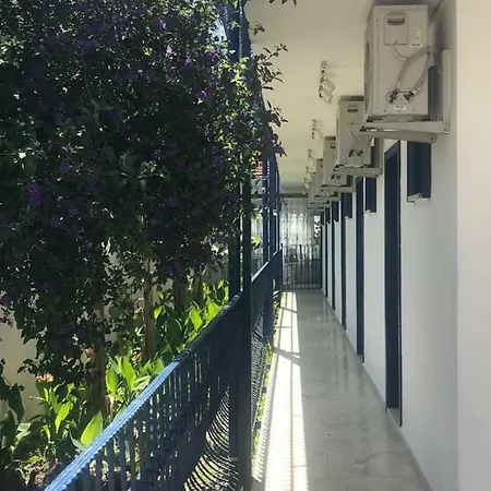 Rota