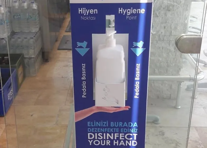 酒店 罗塔酒店 达利安